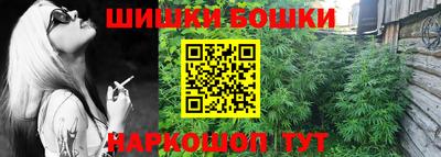 гидропоника Гусь-Хрустальный
