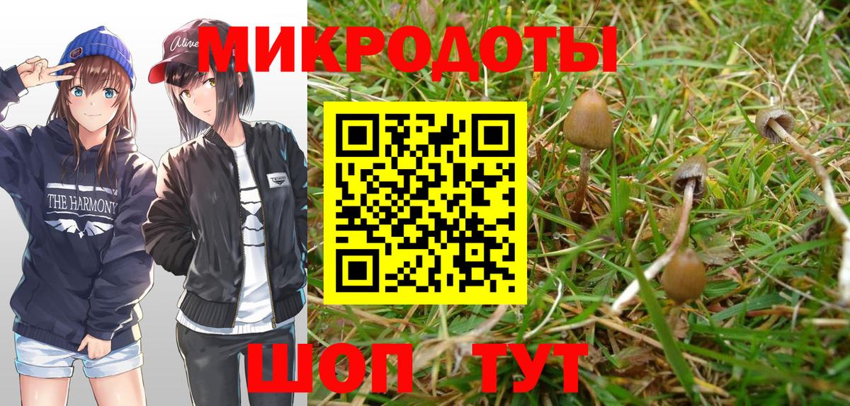 Галлюциногенные грибы MAGIC MUSHROOMS  Вход с VPN  Вязьма 