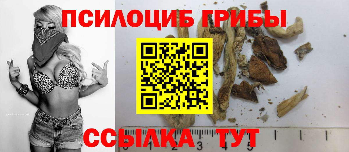 Галлюциногенные грибы мицелий Вязьма
